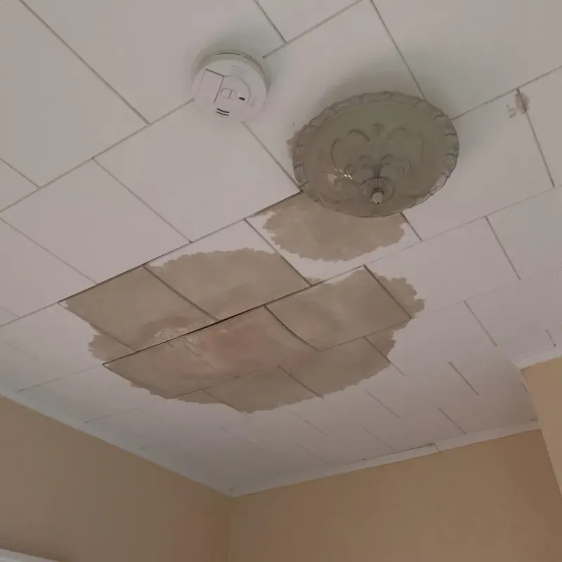 Ceiling Water Damage Repair in Hobart, IN