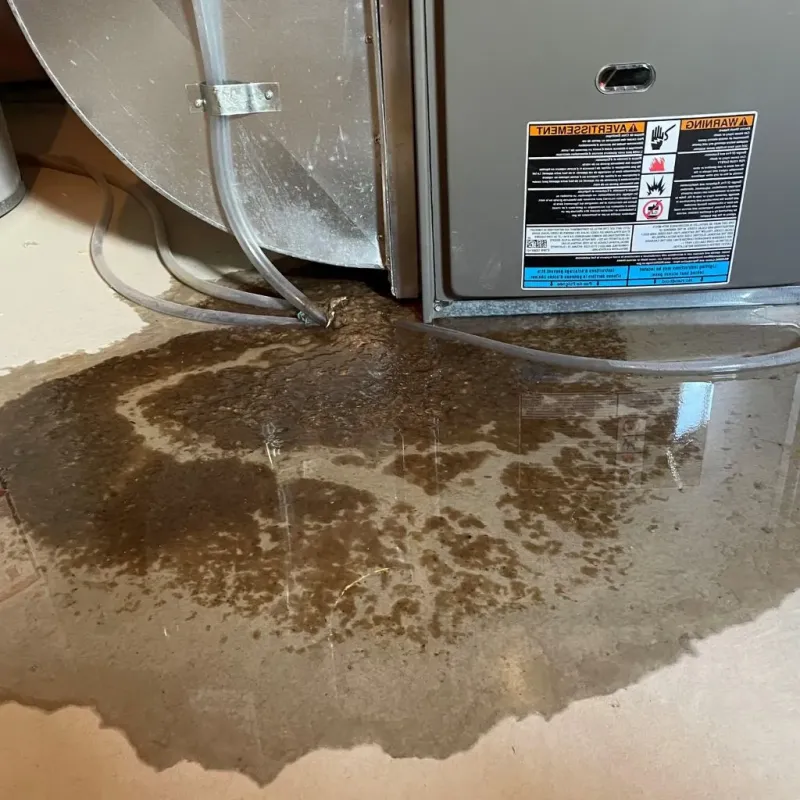 Pipe Burst and Leak Restoration in Hobart, IN