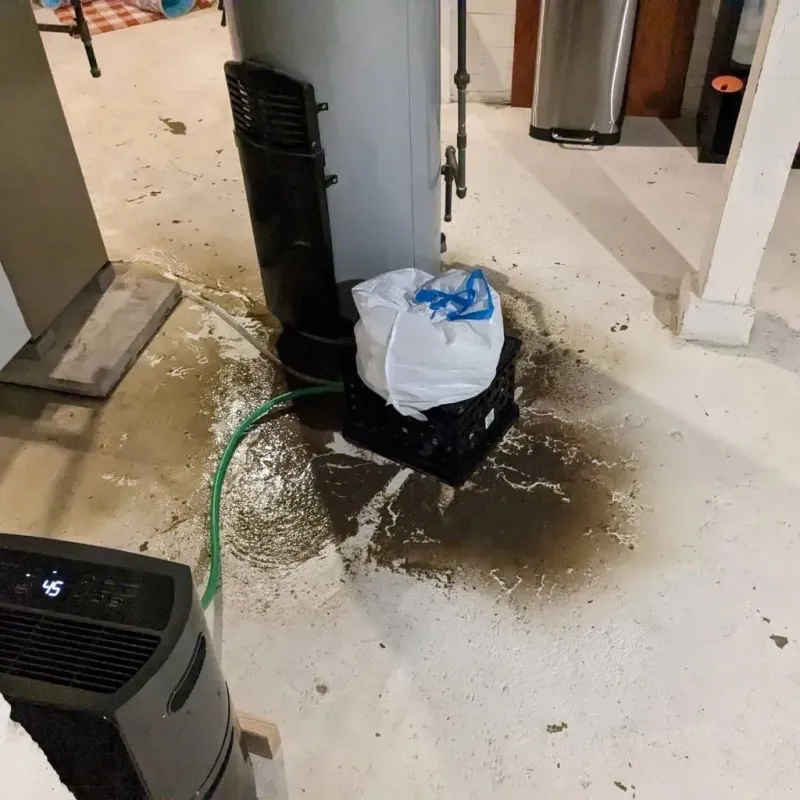 Sewage Backup Cleanup Service in Hobart, IN